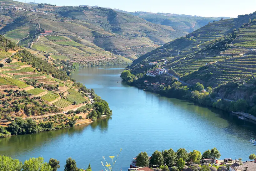 Douro Vinhateiro – Rota dos Vinhos