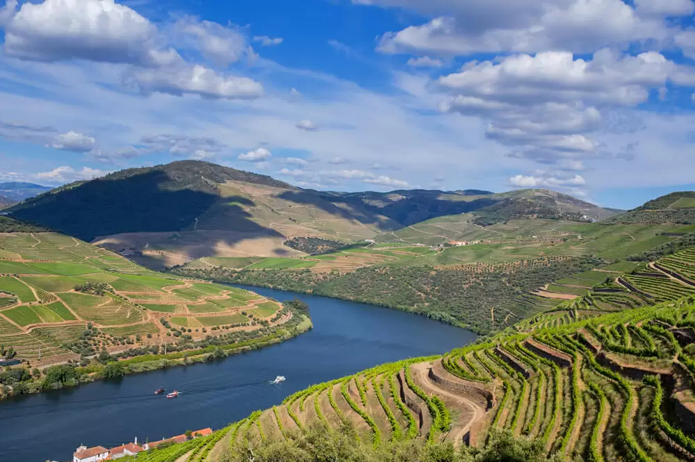 Douro Vinhateiro